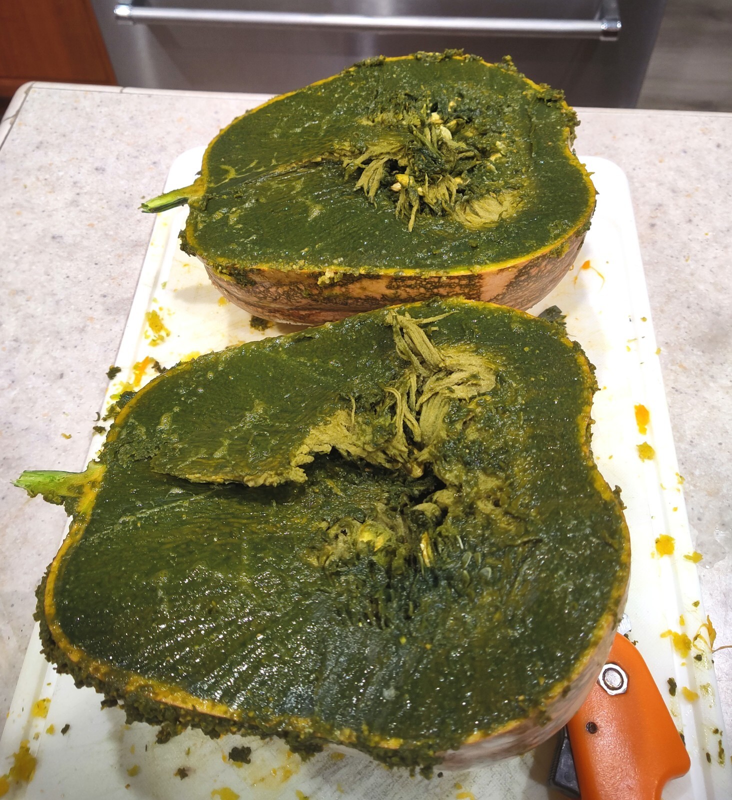 Rare Mexican Black Green Flesh Squash 10 Seeds- Calabaza Mexicana, 10 Semillas