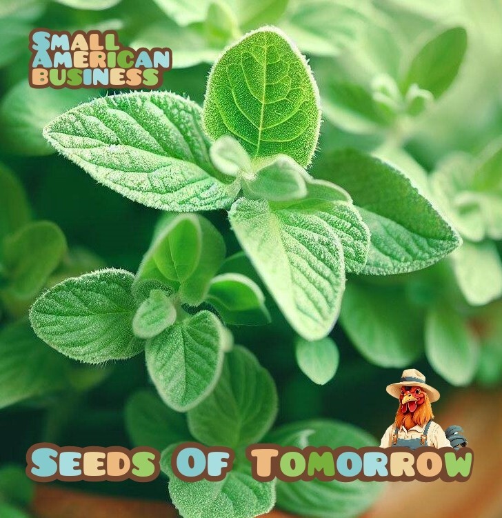 300+ ORGANIC Non-GMO Italian Oregano Seeds – Seeds Of Tomorrow