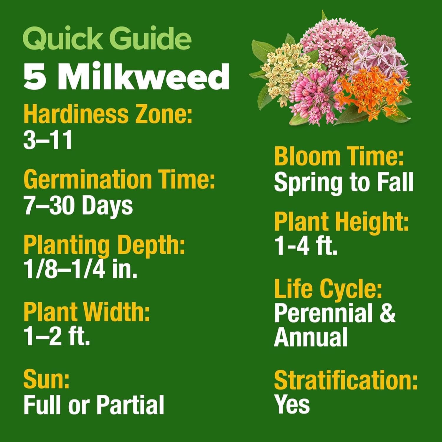 Milkweed Flower Seeds – 500+ Heirloom Perennials for Monarch Habitat, Zones 3-10