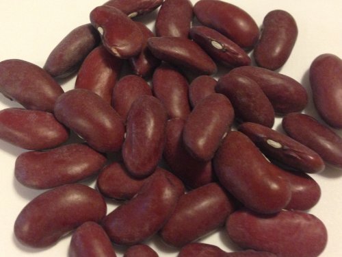 Bean Dark red kidney Great Heirloom Garden Vegetable By Seed Kingdom 25 Seeds
