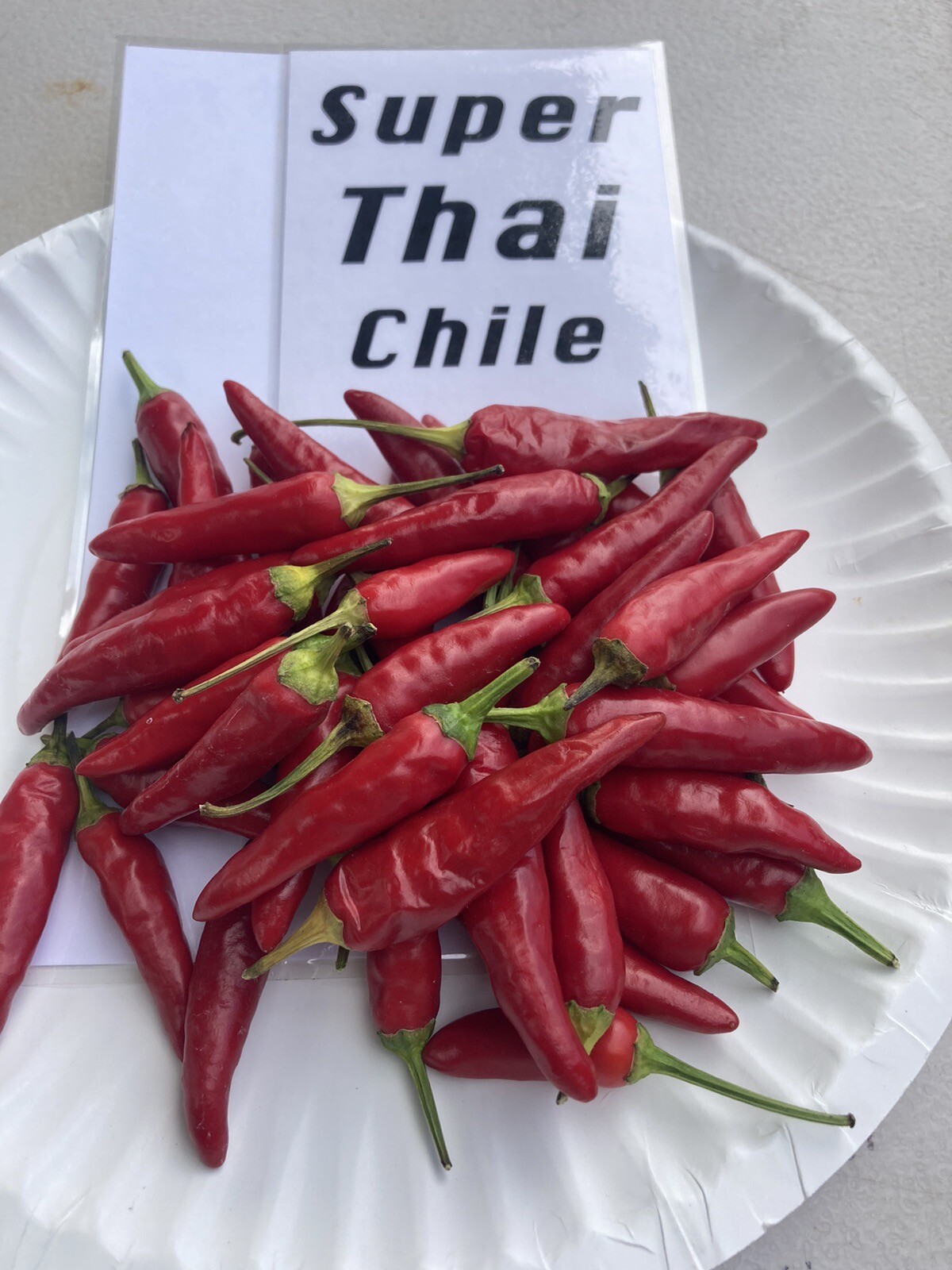 Super Thai Hot Pepper Seeds 25+ Per Pack