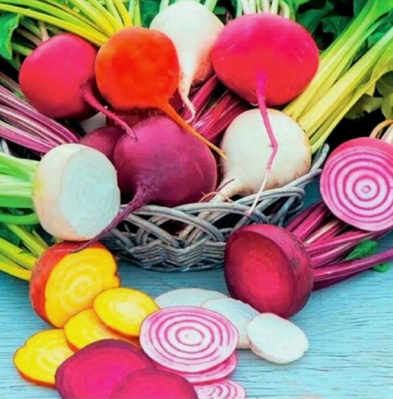 20 Rainbow Blend Beet Seeds NON-GMo SEEDS usa seller