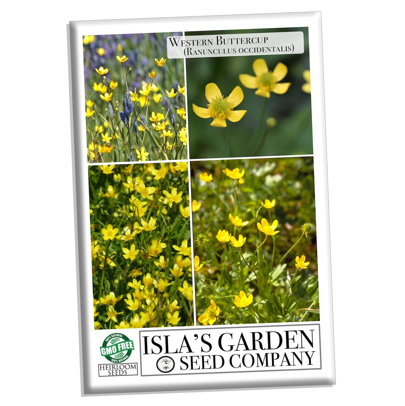 Western Buttercup Long Blooming Field Flower Seeds, 1000+ Seeds Per Packet,