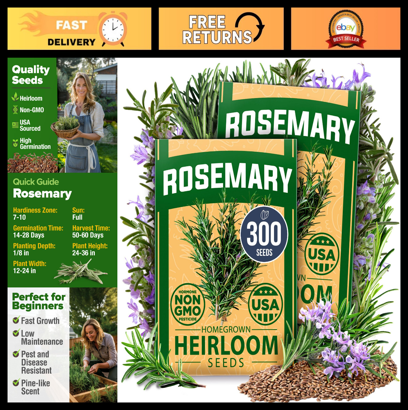 300 Heirloom Rosemary Seeds – High Germination for Indoor/Outdoor Herb Gardens