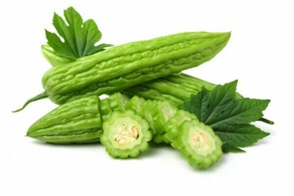 Organic Green or White Skin Long Bitter Gourd Seeds , 2025 Season