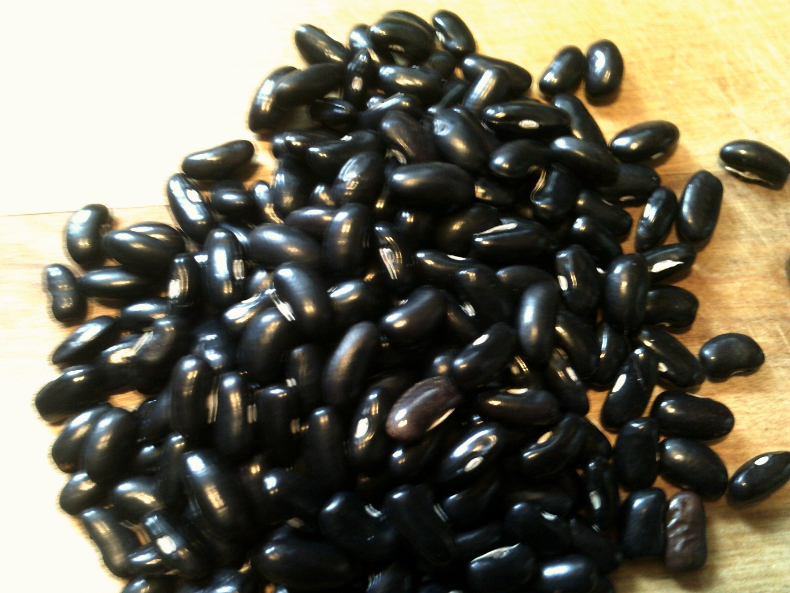 Ideal Market (Creasy Bean) Pole Bean Seed Heirloom (25 seeds)