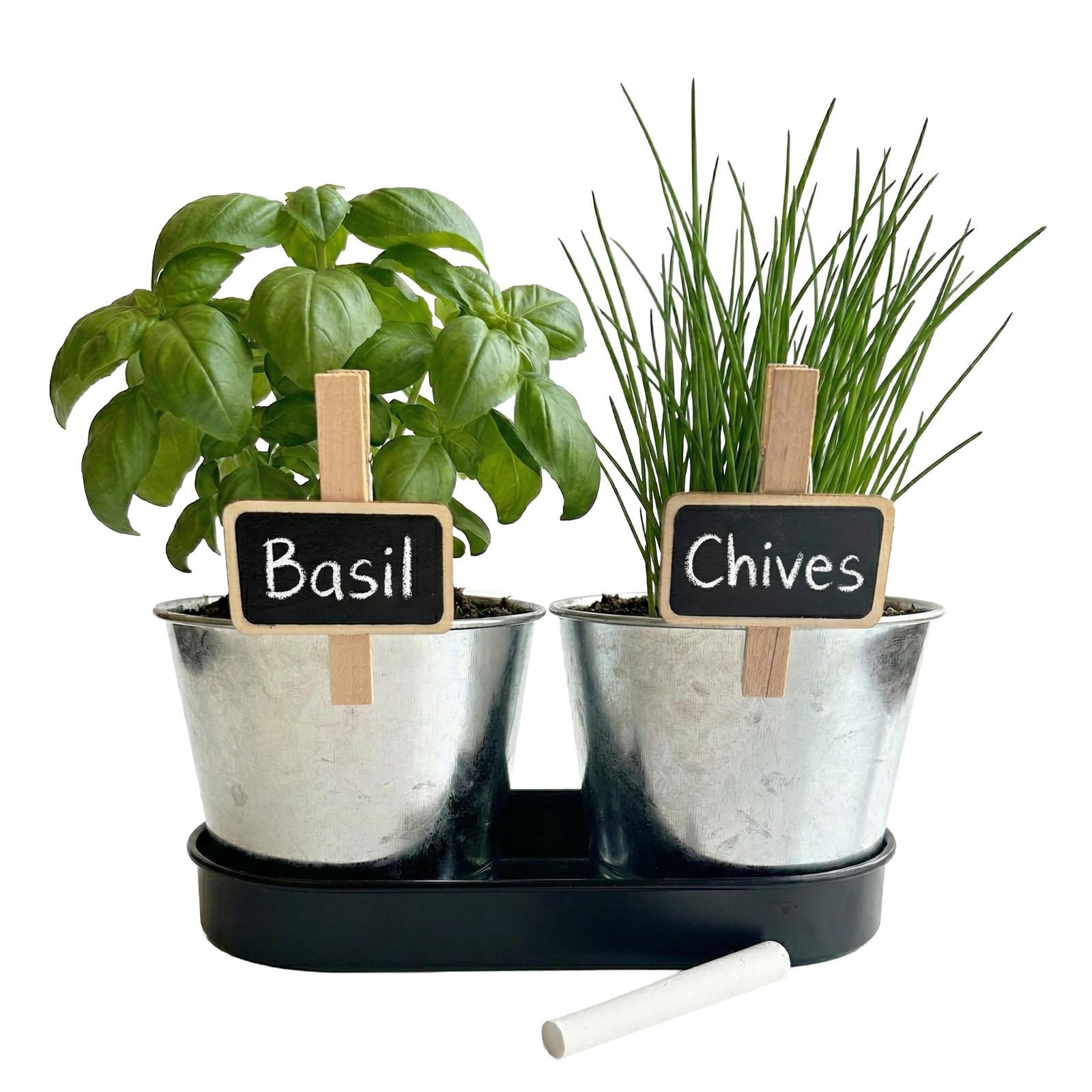 BUZZY Seeds Kitchen Herb Garden Kit with 2-Pot Metal Planters with Plant Mark…