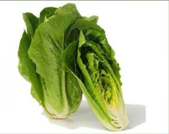 100 FRESH HEIRLOOM ROMAINE LETTUCE PARRIS ISLAND COS SEEDS FREE USA SHIPPING