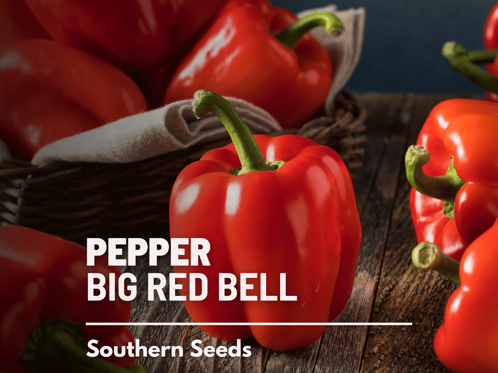 Pepper, Big Red Sweet Bell – 30 Seeds – Easy to Grow – Heirloom – GMO Free (Caps