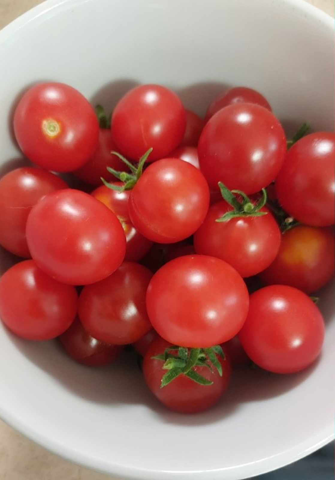20 Sweet Chelsea Tomato Vegetable Seeds! The Best in Production!