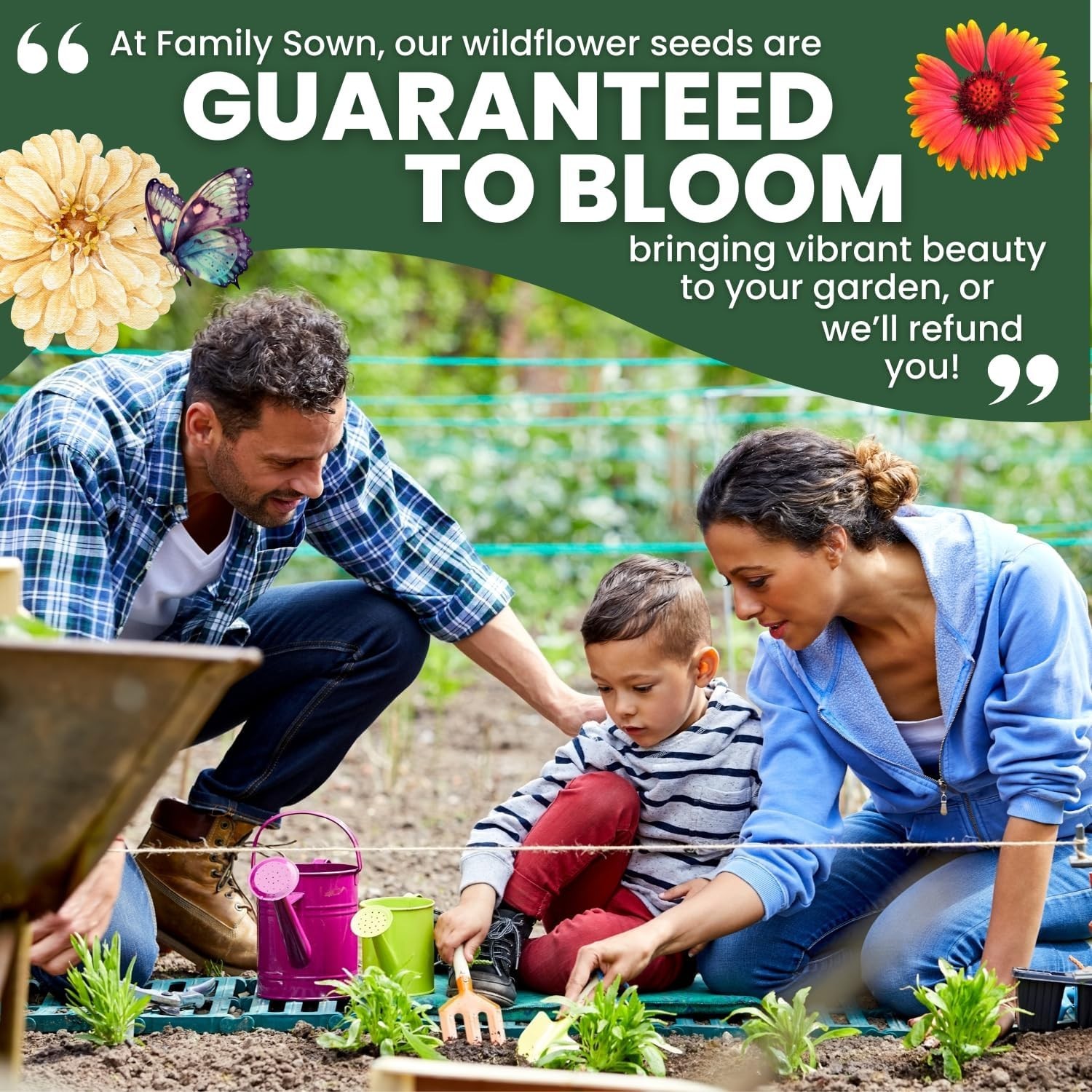 Midwest Regional Mix – 2,500 Seeds for Planting – 2026 Season – 5 Gram Pouch
