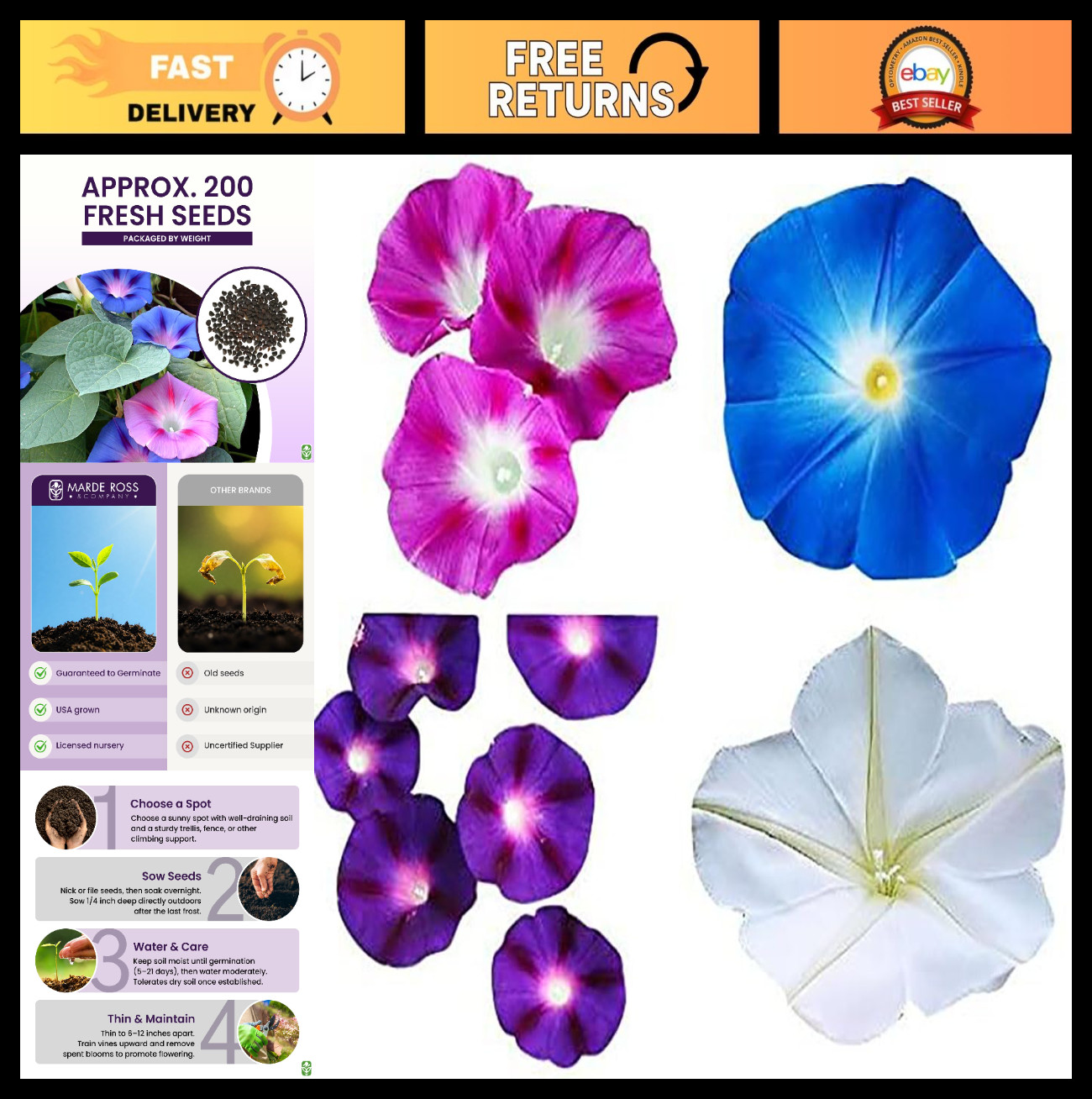 Mixed Morning Glory Seeds – Blue, Purple, White, Rose Climbing Vines – Attracts