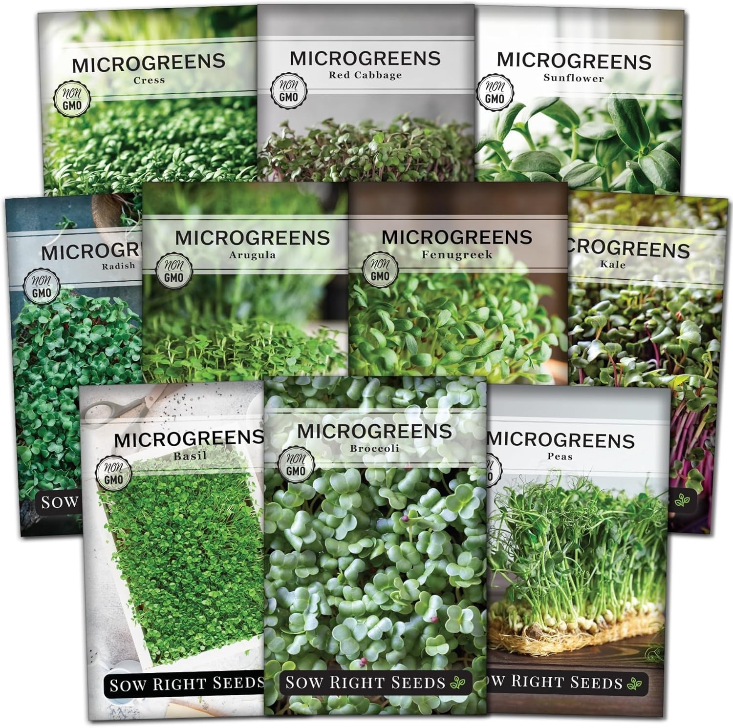 Compact Indoor Microgreens Seed Set – 10 Varieties, Low Maintenance Gardening