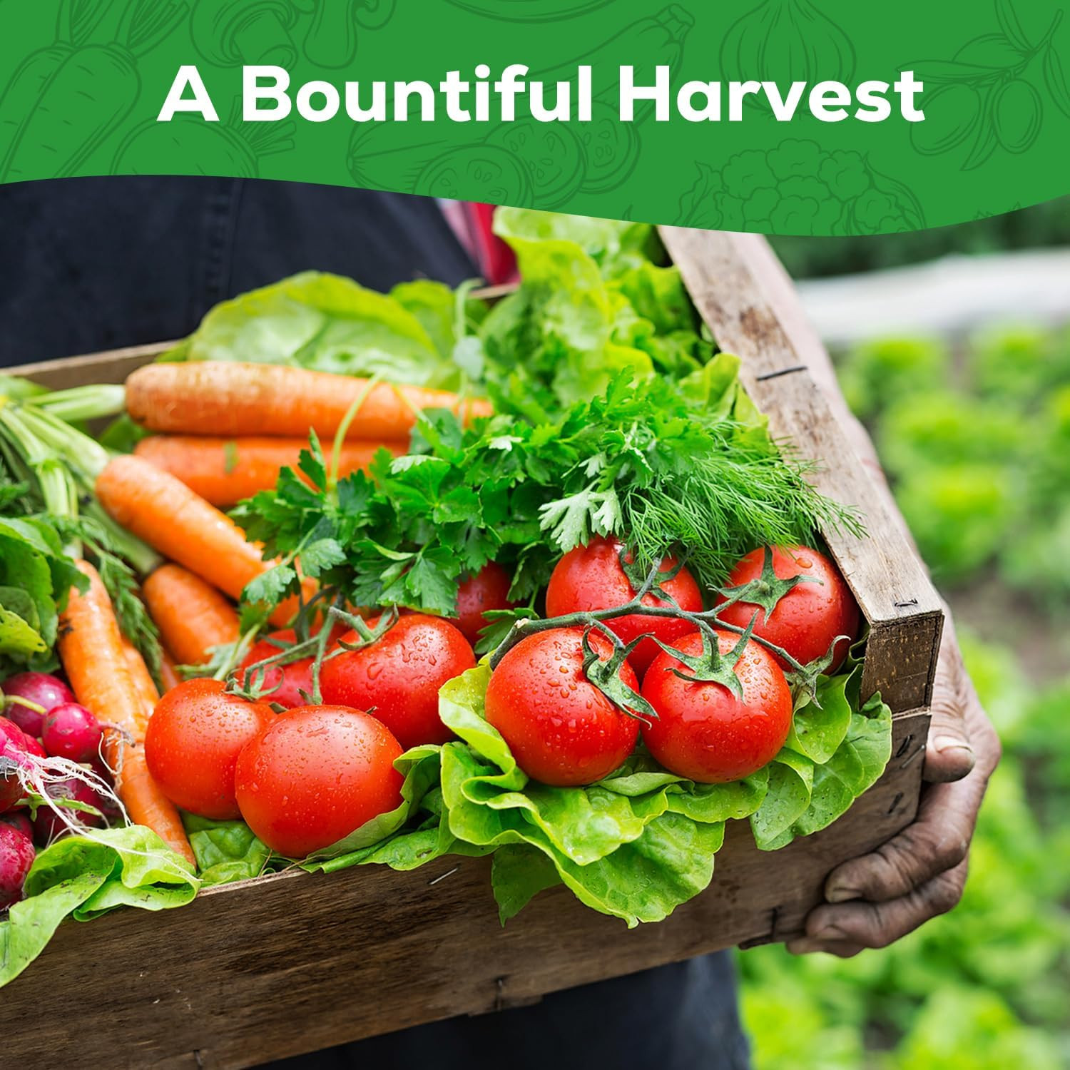 30 Heirloom seed Varieties for Planting, 12,000+ Garden Seeds – Survival Non-GMO