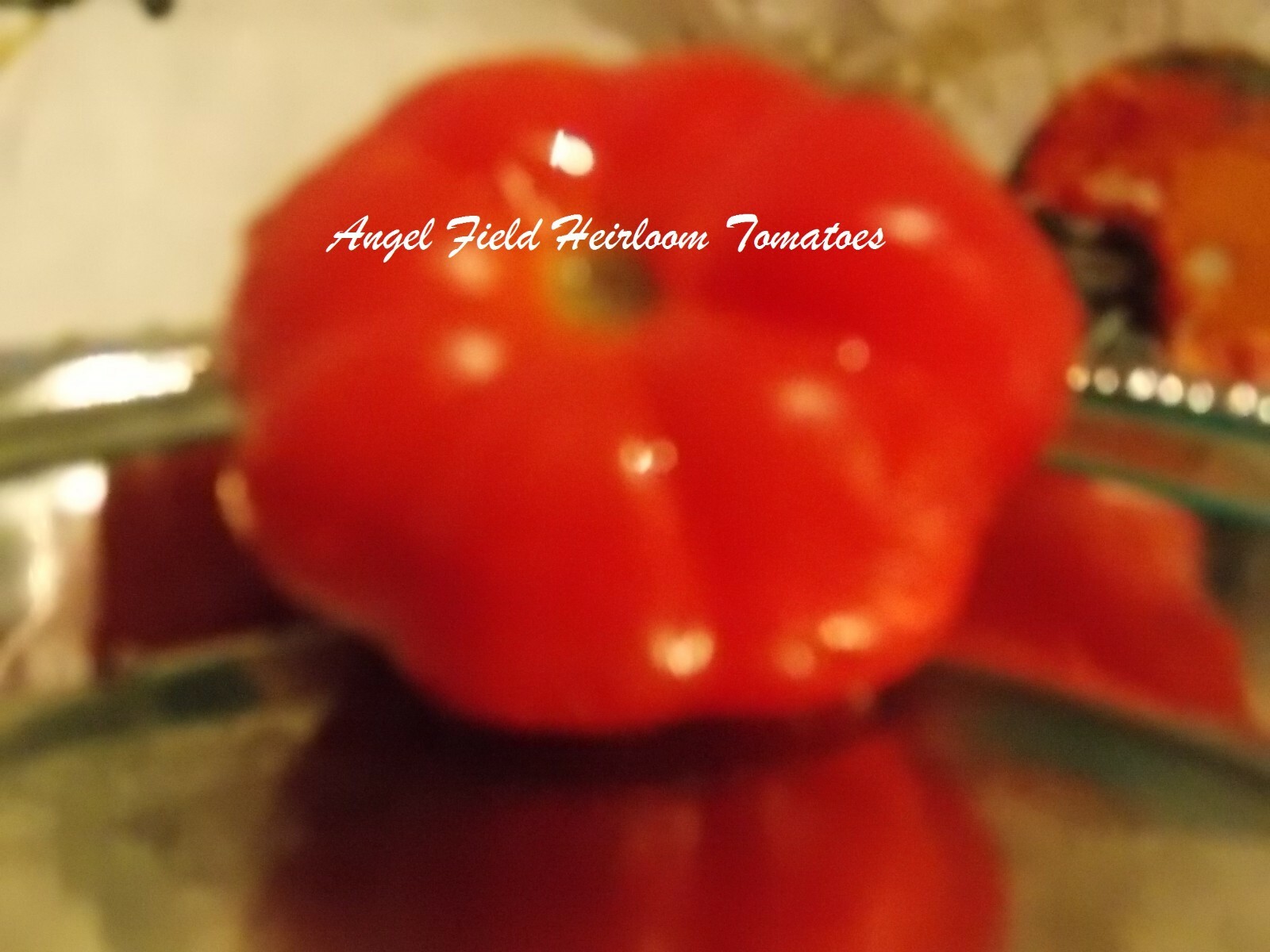 20 Santorini Heirloom Tomato “Plus 2 Packs of Vegetable Seeds