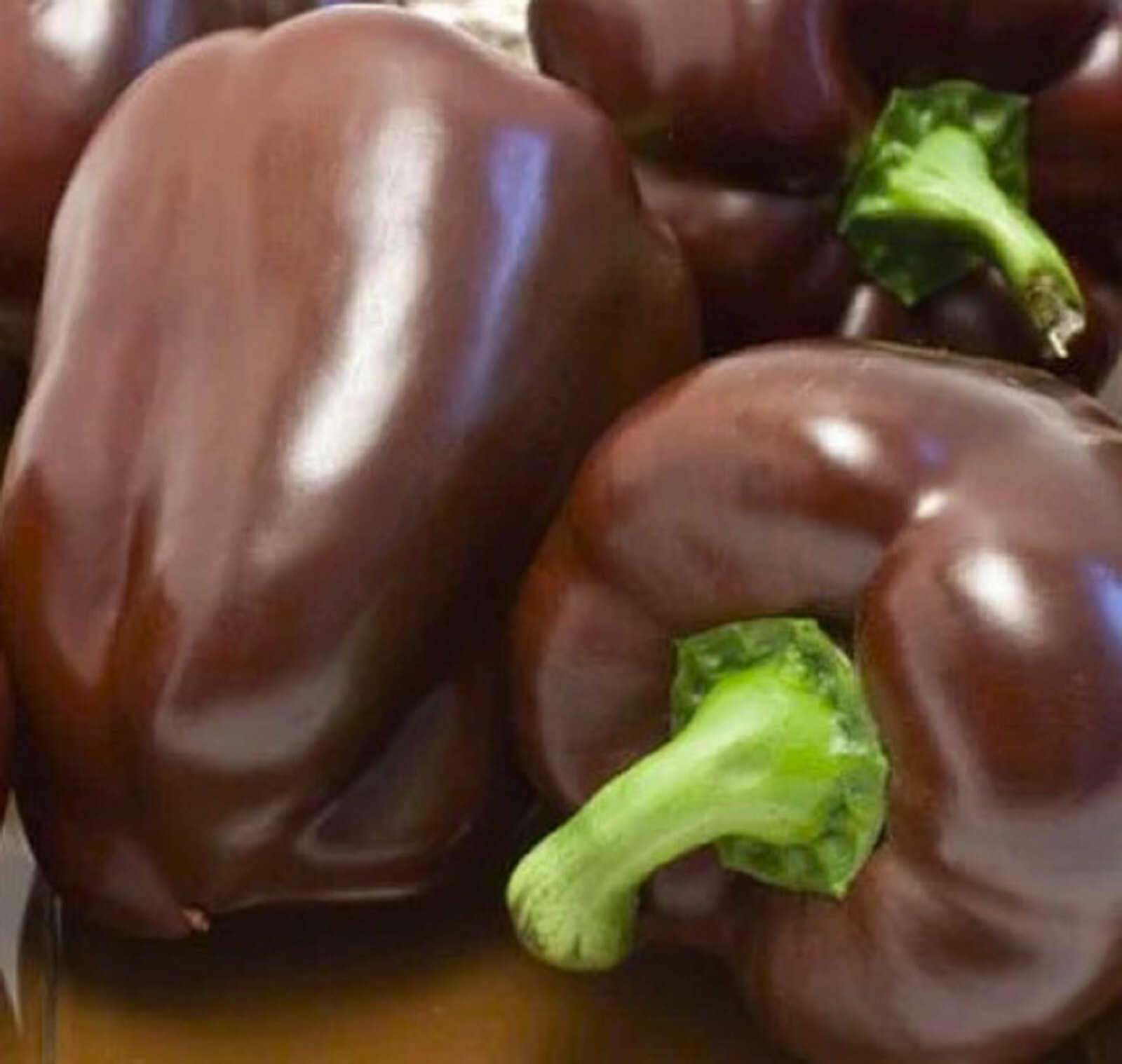 Sweet Chocolate Bell Pepper Seeds 50+ SEEDS NON-GMO–BUY 4 ITEMS FREE SHIPPING