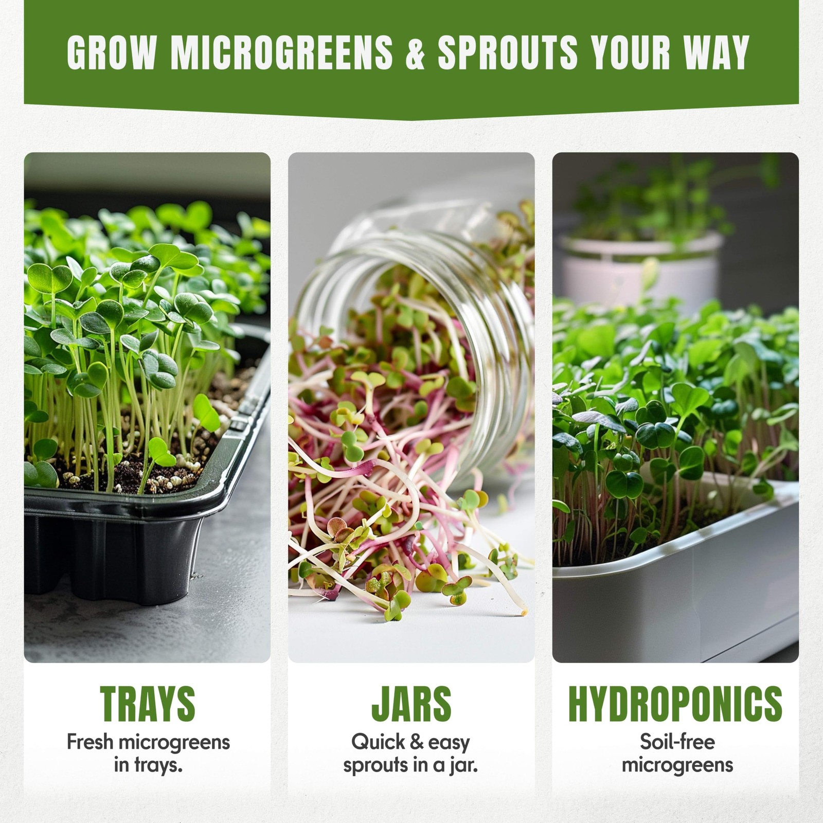 Microgreens Variety Pack 10 NonGMO Seeds for Indoor & Outdoor Growing