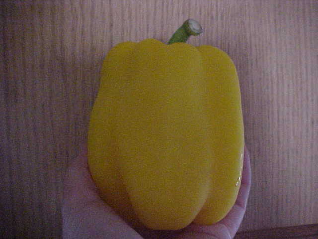 50 SEEDS ORGANIC “SWEET” LARGE HUGE YELLOW BELL PEPPER SEEDS