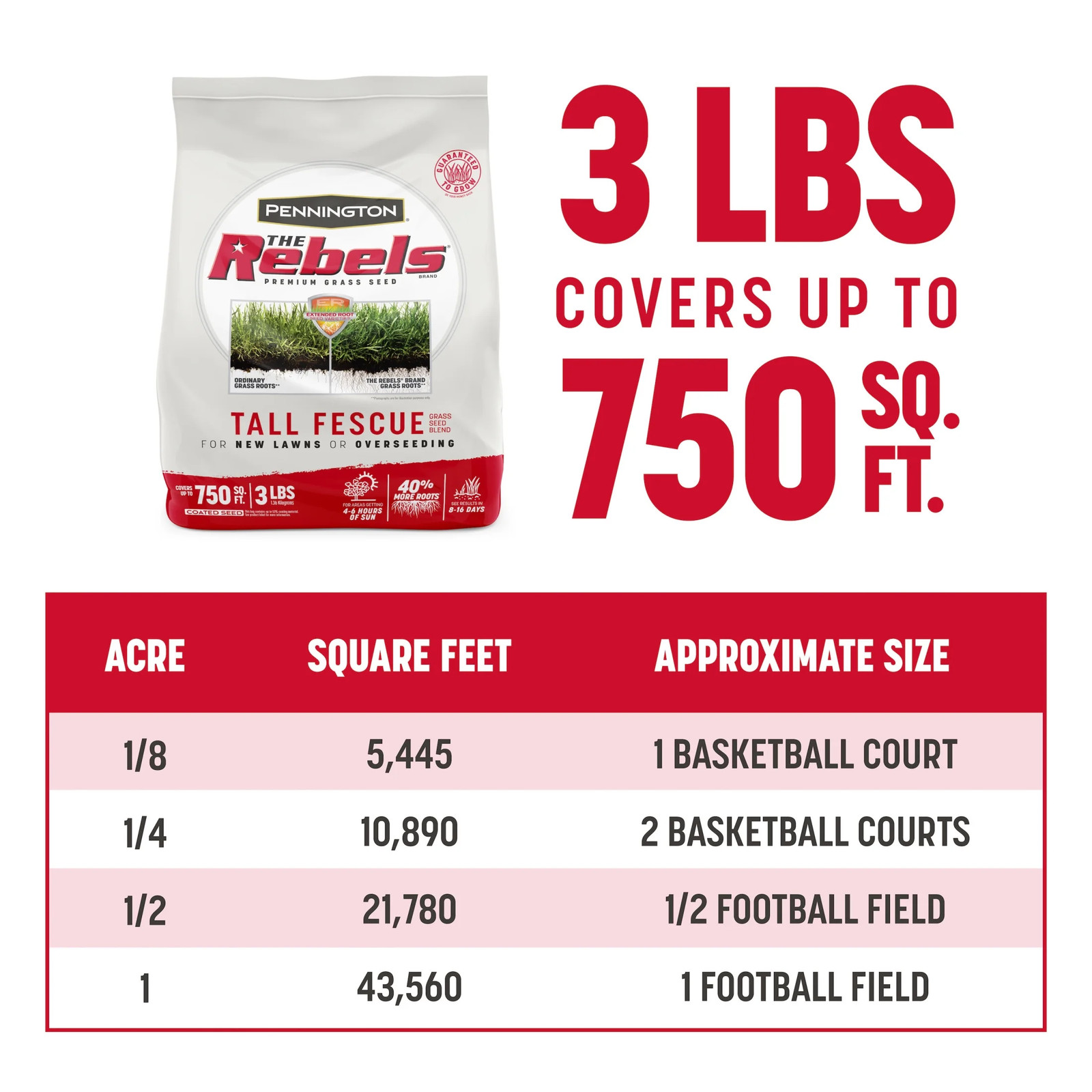 Rebels Tall Fescue Grass Seeds for Lawn, for Sun to Partial Shade, 3 Lb