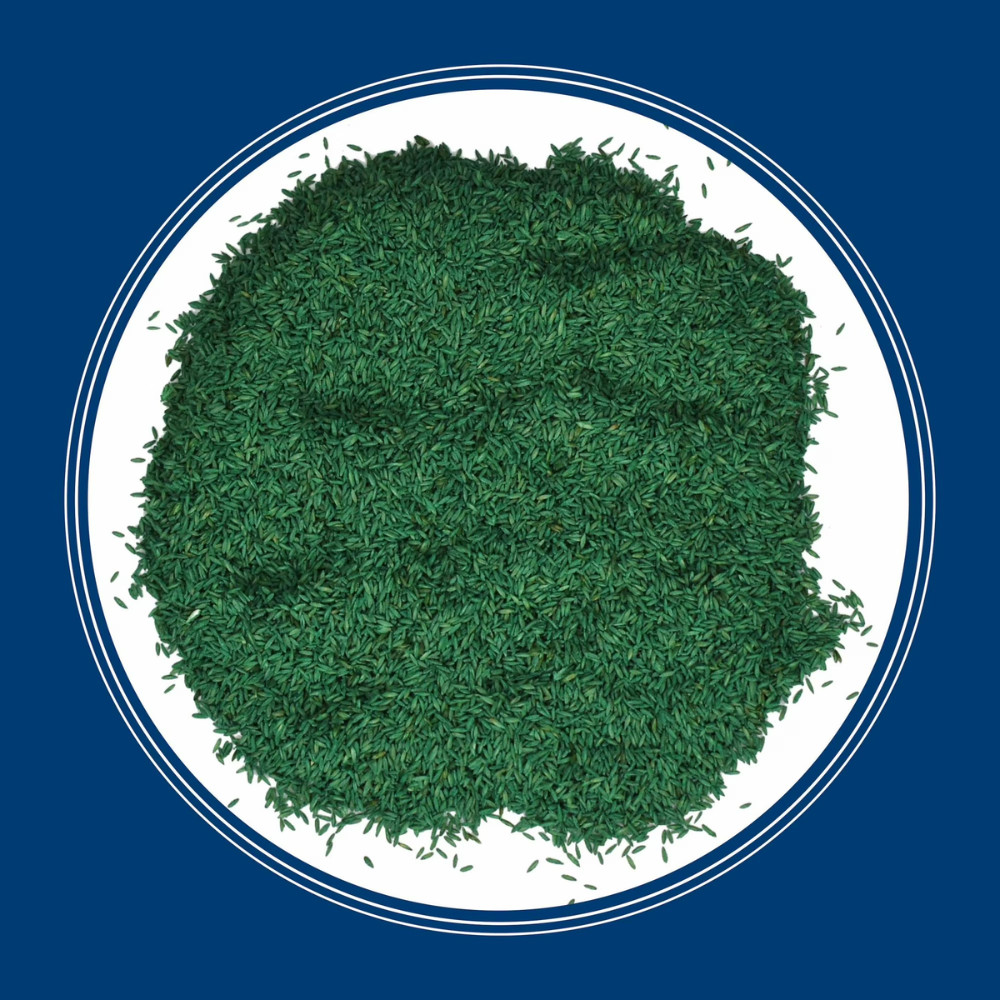 2 Pack Pennington Kentucky Bluegrass Mix, Sun & Partial Shade, 7 lb, Grass Seed