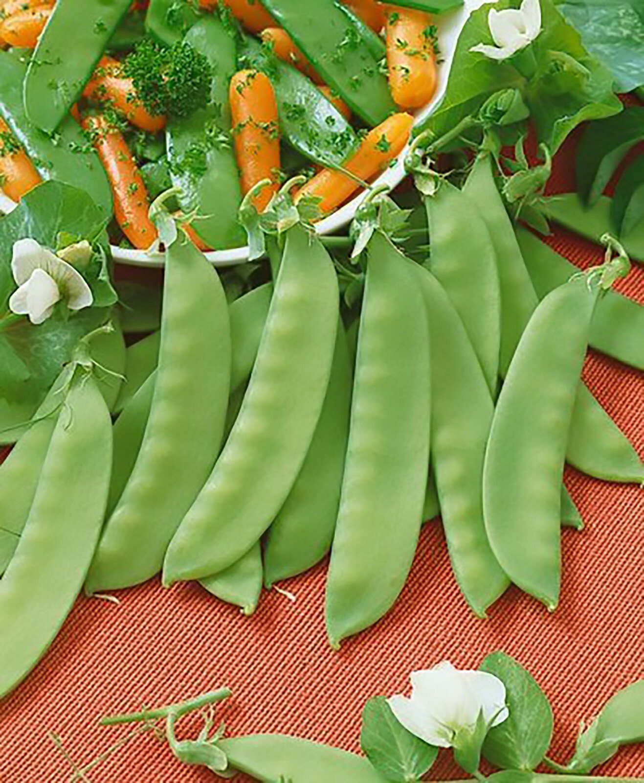 Snow Peas – Dwarf Grey Sugar (Chinese Pea Pod), Pisum sativum (65 Days)