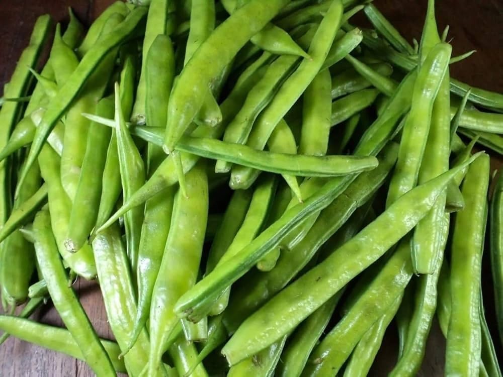 100+ Pcs Indian Cluster Bean Seeds, Non-GMO Vegetable Seeds for Planting, High