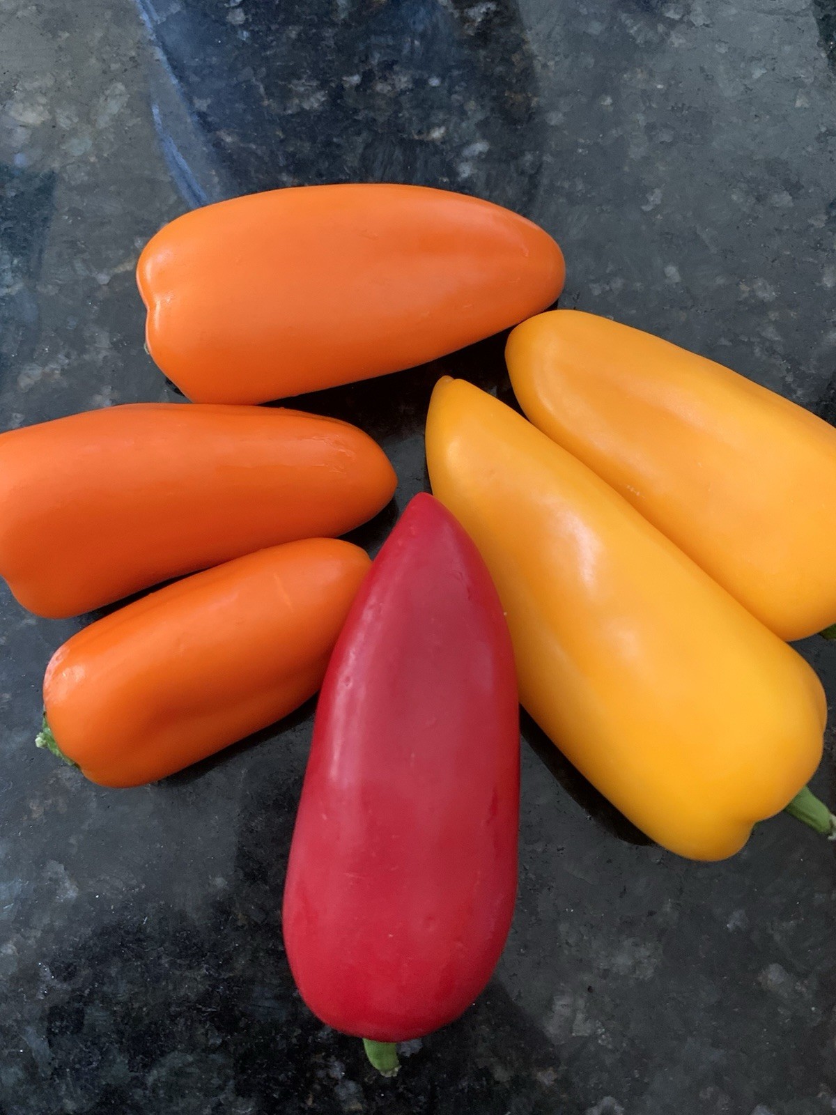 100 + SEEDS “LUNCHBOX” SWEET ORGANIC SNACKING PEPPER VARIETY COLORS – HEIRLOOM