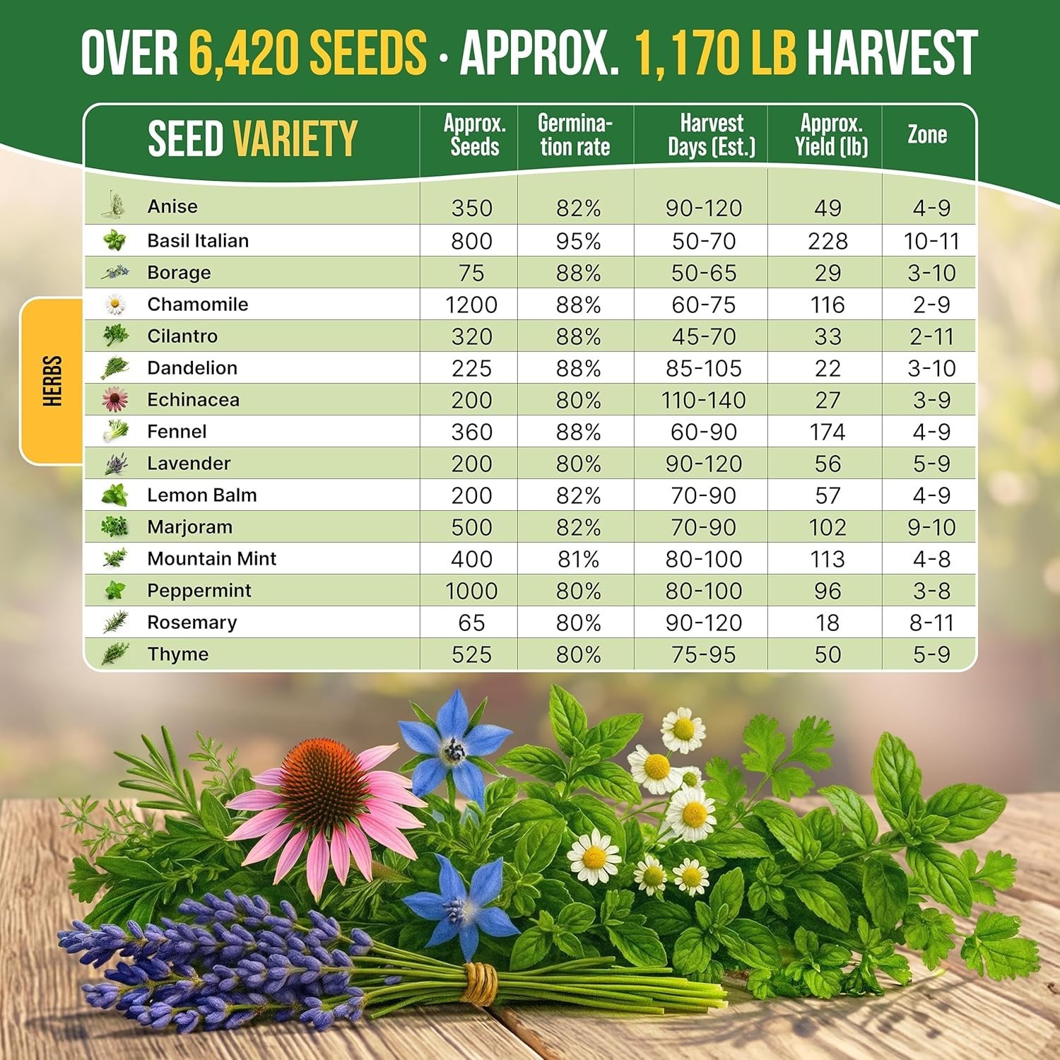 6,420+ Heirloom Medicinal & Tea Herb Seeds – Perfect Gift for Gardening Lovers