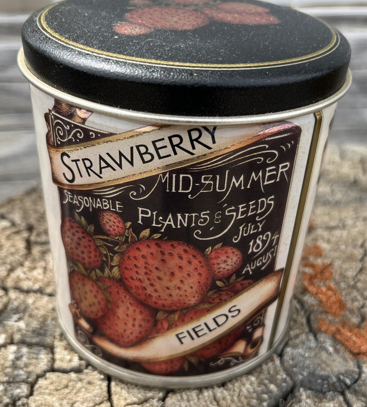 Strawberry Fields Mid-Summer Plants & Seeds Collectible Farmhouse Tin Vintage Ad