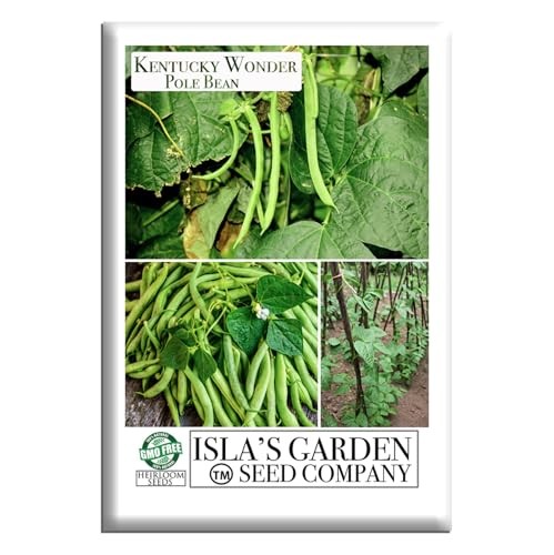 Kentucky Wonder Pole Bean Seeds (Phaseolus vulgaris) – 30+ Non-GMO Heirloom