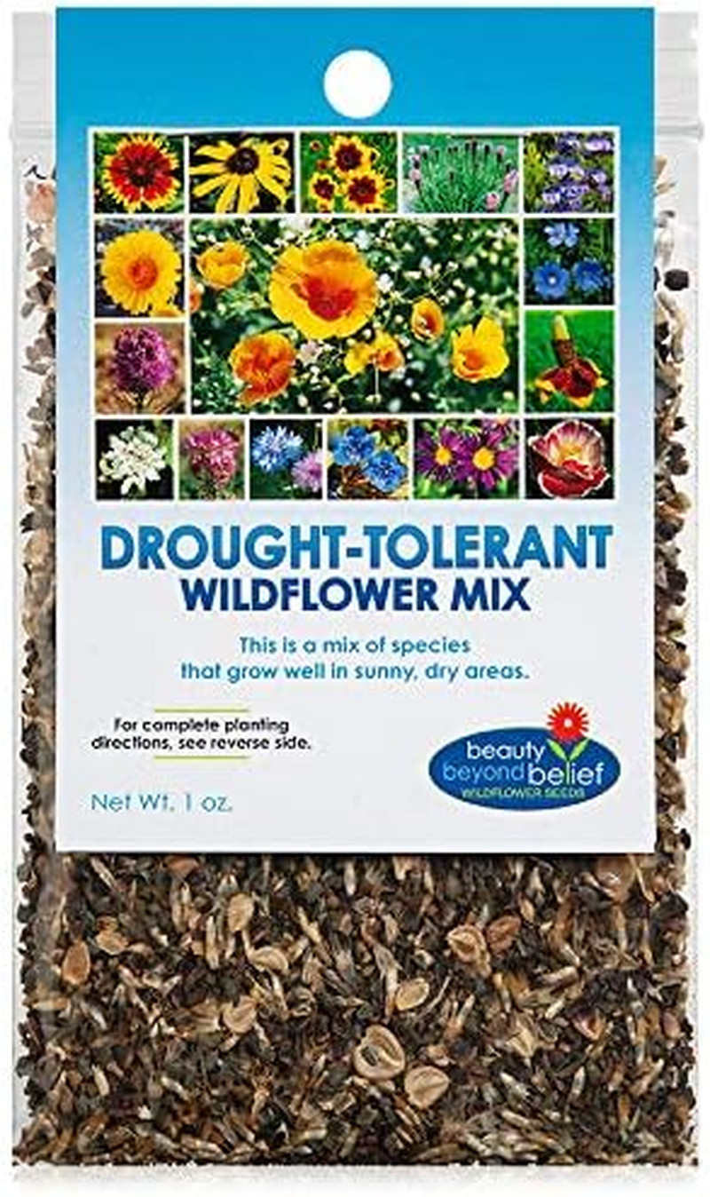 Drought Resistant Wildflower Seeds – 1Oz, Open-Pollinated Bulk Flower Seed Mix f