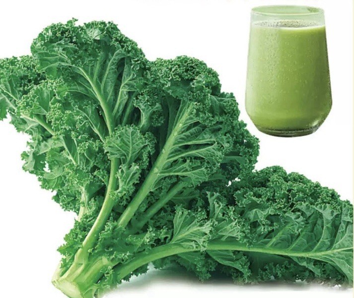 500+CT Organic Kale Seeds Heirloom Non Gmo Vegetable Seeds. 500多粒有机羽衣甘蓝种子产于2025年
