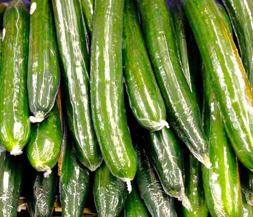 Burpless Cucumber Seeds – Improved English Telegraph – 30+ Count – for Fresh