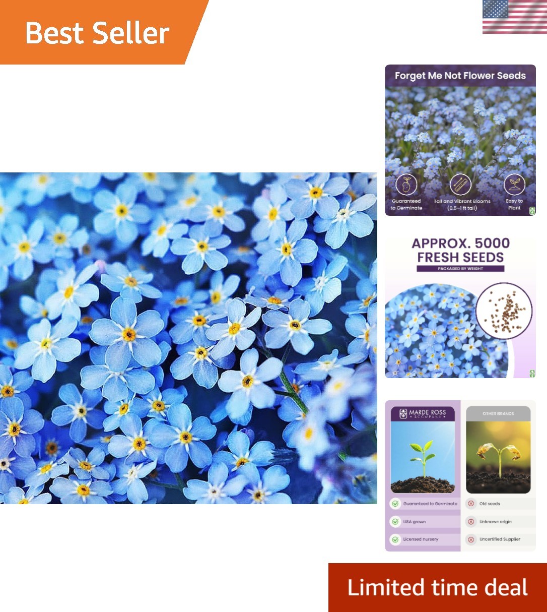 GMO-Free Forget Me Not Seeds – 5000 Pack Perfect for Spring and Summer Blooms