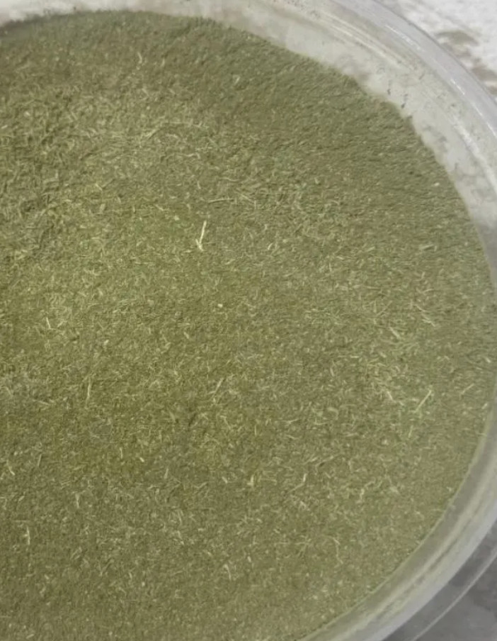 GUAVA LEAVES (Psidium Guajava)- Undiluted Powder