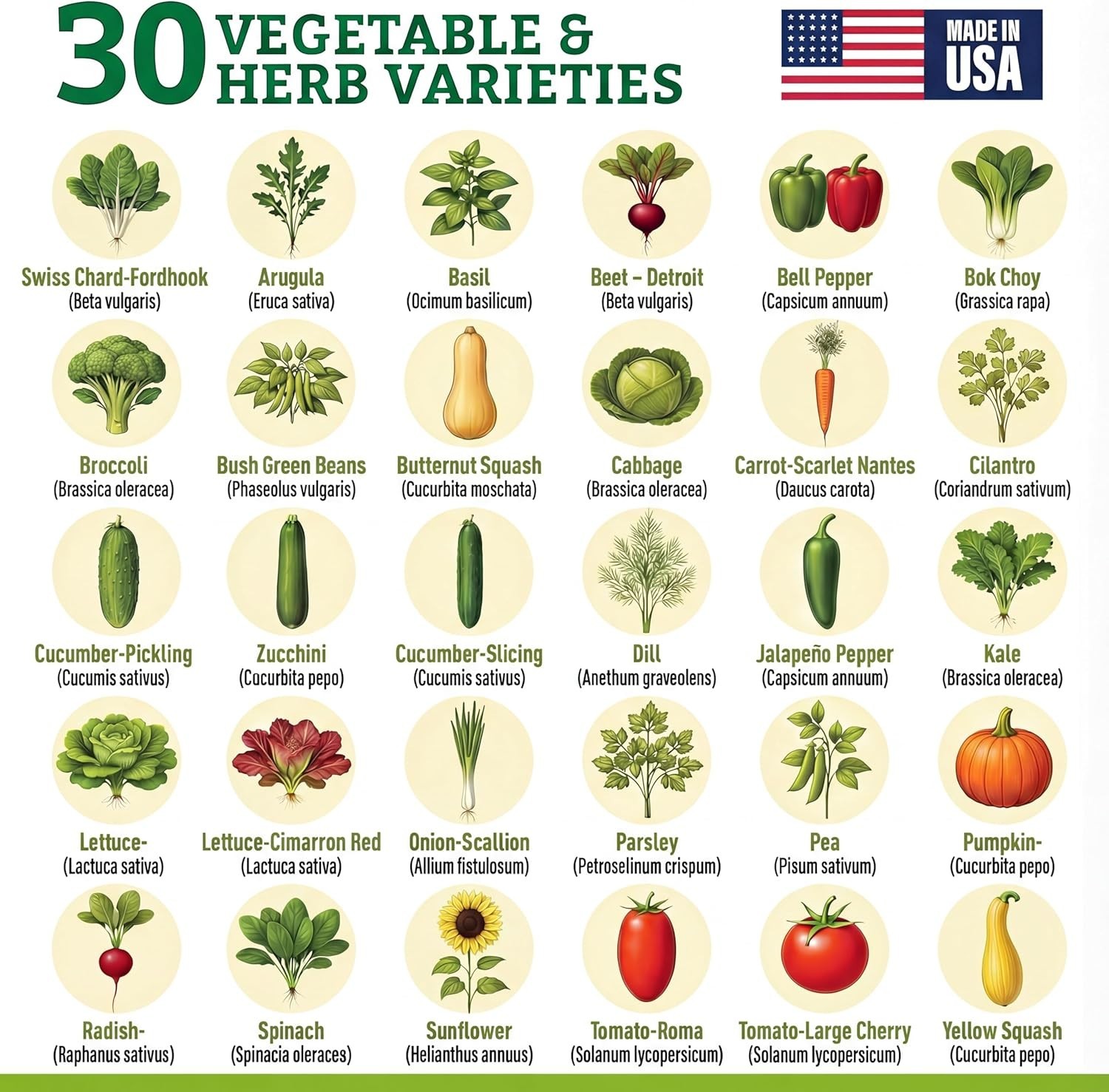 Culinary Vegetable & Herb Seeds Variety Pack – 30 Heirloom Non-GMO Garden See…