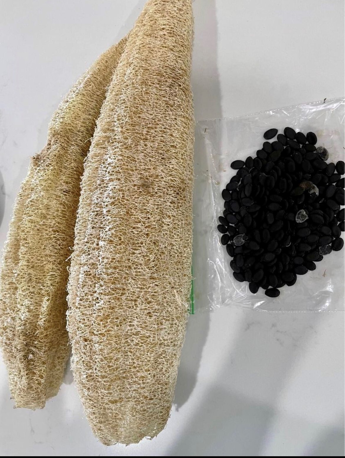 LUFFA, SPONGE GOURD, SMOOTH SEEDS HEIRLOOM, NON GMO, 20-25 seeds