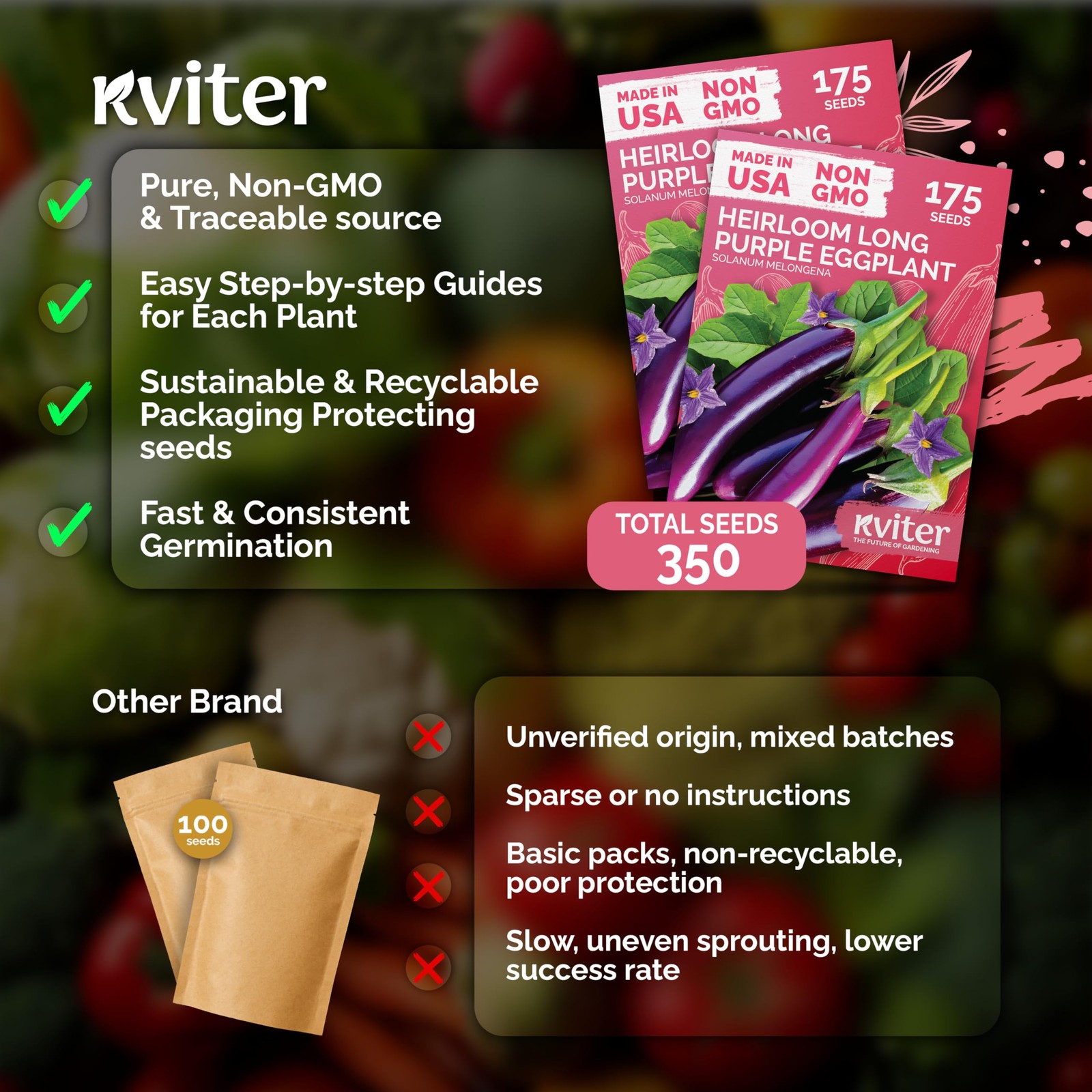 KVITER 350 Long Purple Eggplant Seeds (Solanum Melongena), 2 Pack