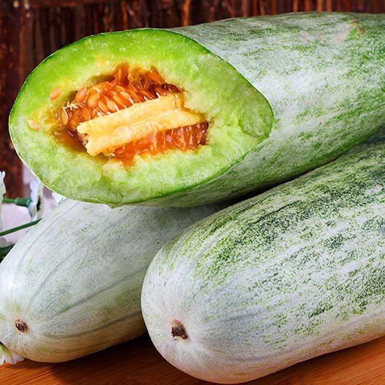 Chinese muskmelon seed 羊角蜜 (goat horn honeydew) set of 20
