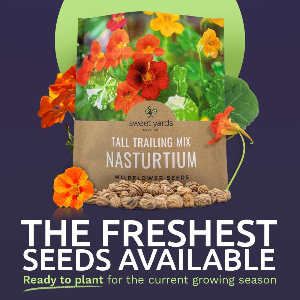 Nasturtium Seeds Mixed Colors Large Packet 200 Flower Seeds Tropaeolum Majus