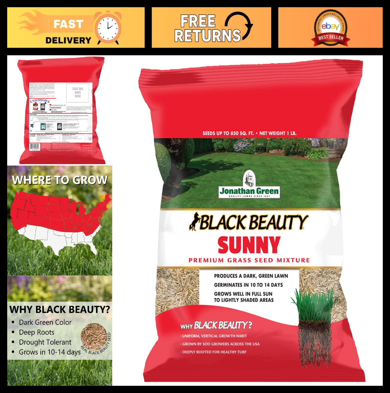 Premium Black Beauty Grass Seed – Cool Season Lawn Seed for Lush Green Turf (1 l