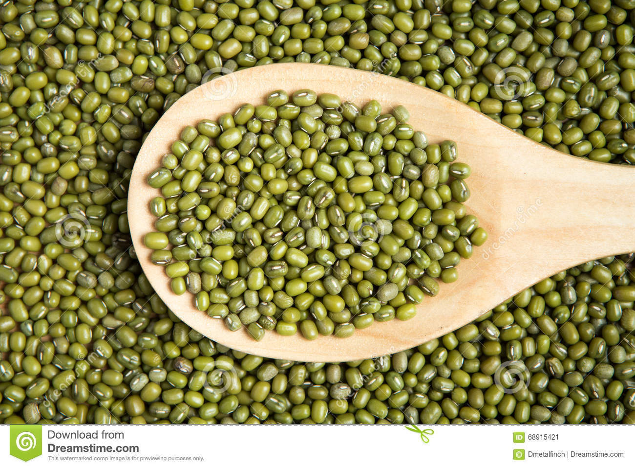Organic Mung Bean Seeds – Sprouting Microgreens or Garden Plant – NON – GMO 2024