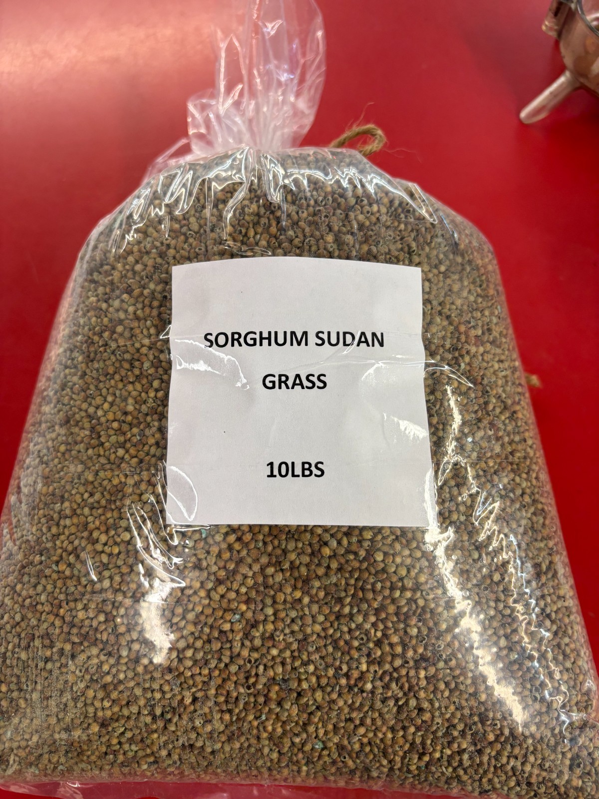 Sorghum Sudan Grass Seed Food Plot Screen Rapid Growth Annual 7 LB Bag NEW