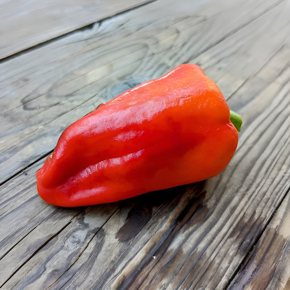 100ct Heirloom Cubanelle Pepper Seeds -Ultimate Stuffing Pepper! Sweet! No Heat!