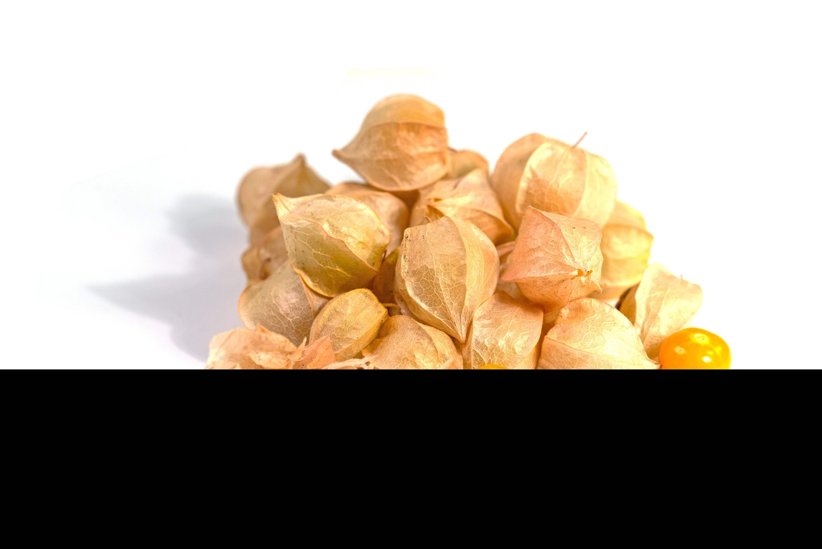 200 Organic GROUND CHERRY Physalis Pruinosa Golden Strawberry Vegetable Seeds