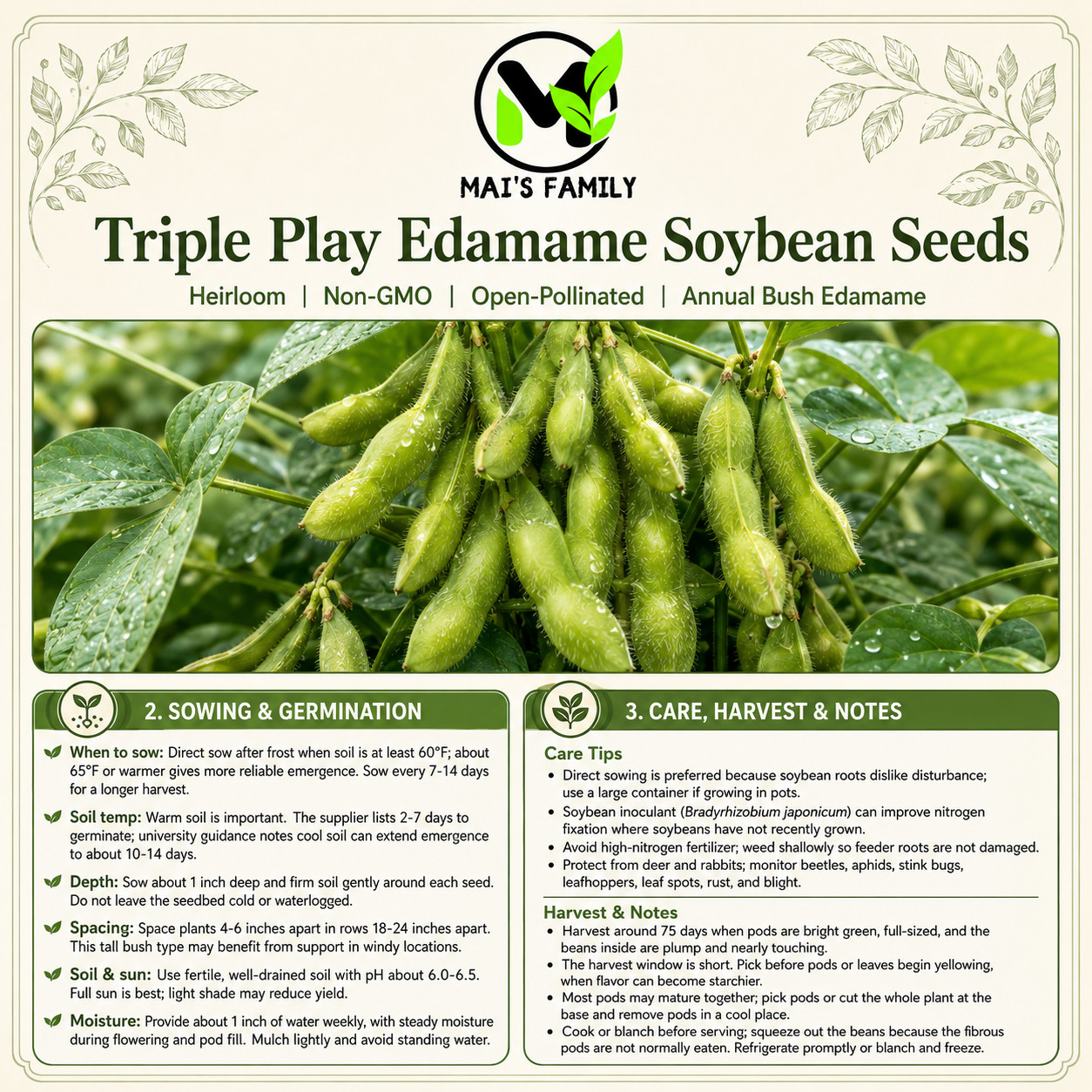 Triple Play Edamame Soybean Seeds Heirloom Non-GMO Open-Pollinated 75 Days