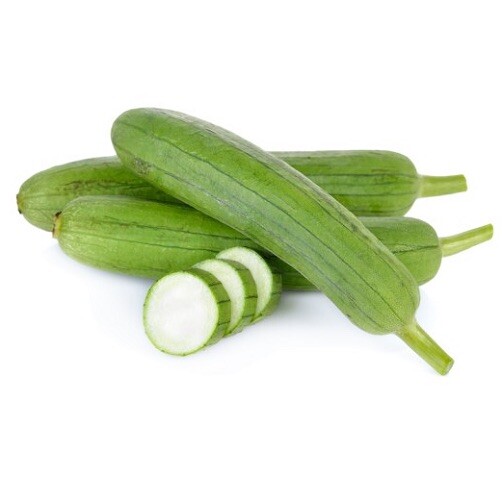 Luffa Gourd – 15 Seeds 2023 – USA
