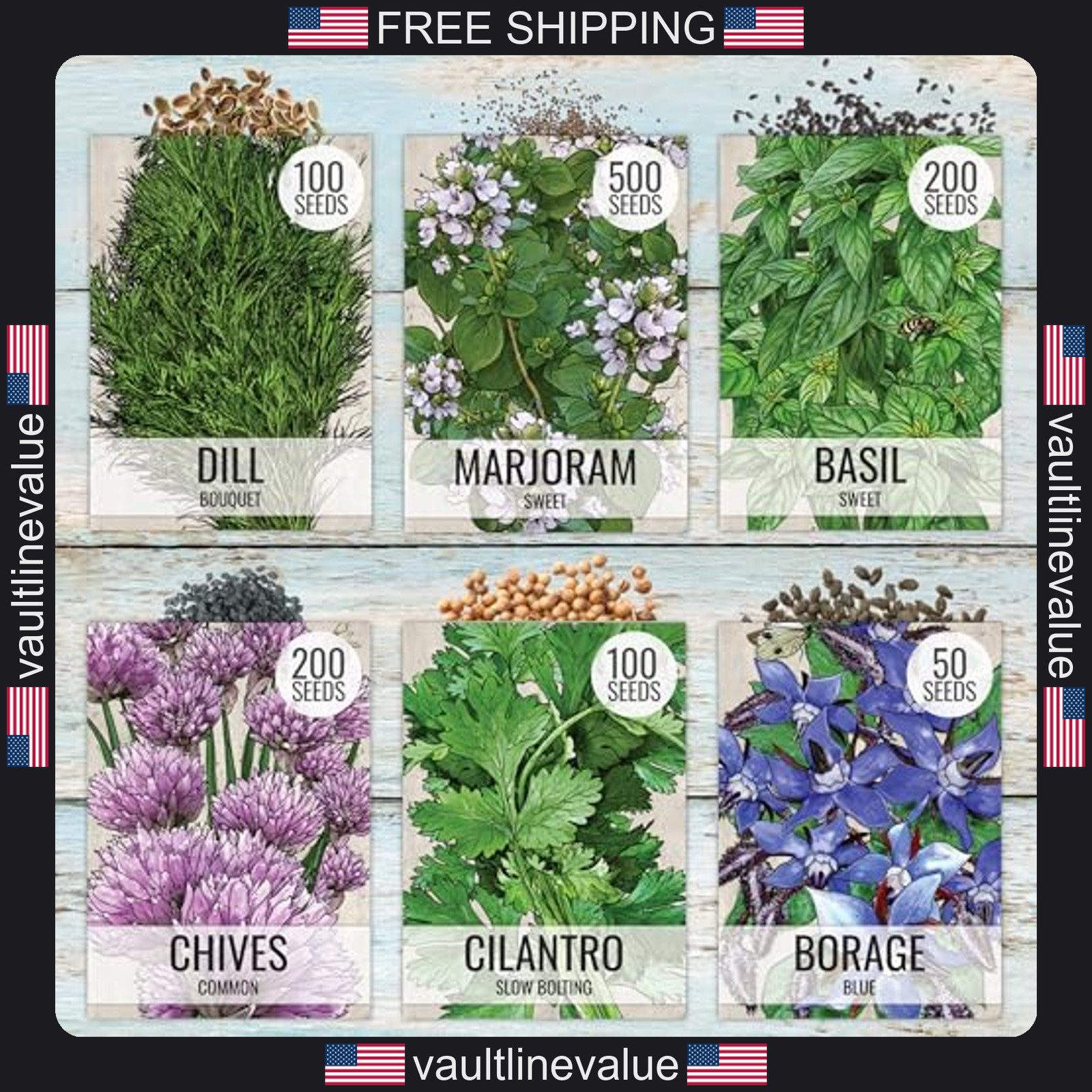Seed Needs herb seeds variety pack 12 packets culinary herb garden indoor