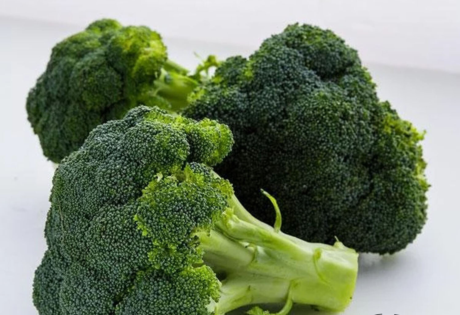 200+ Broccoli Seeds Waltham 29 Broccoli Non GMO Fresh Garden Vegetable USA