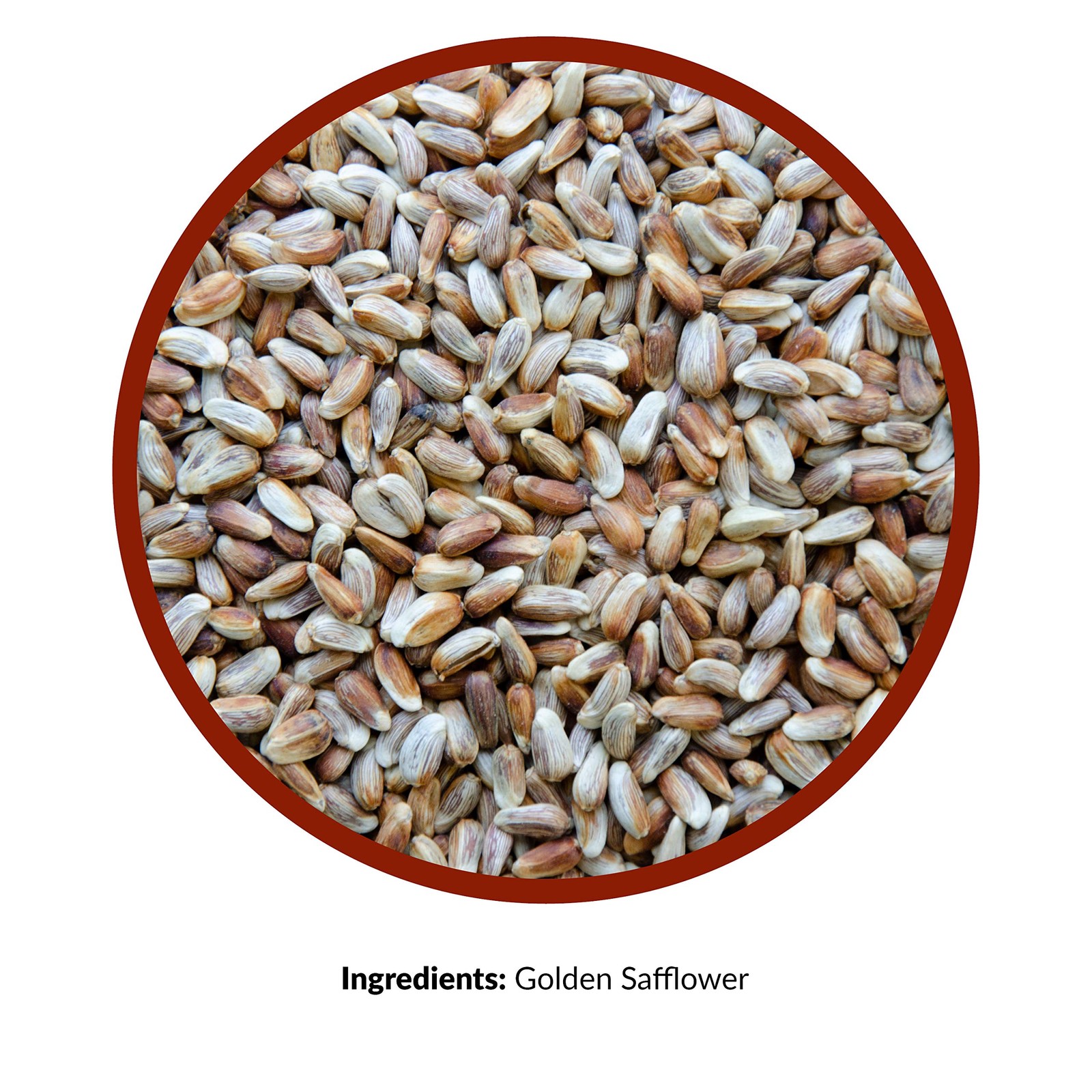 Lyric Golden Safflower Seeds 5 Pound Pack High Nutrition Squirrel Resistant